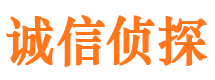 九龙坡市私家侦探